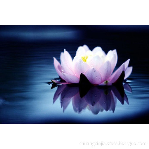 3d Lenticular Decoration Artwork Painting